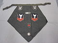 2011-173-1 Apron, Decorative (6035016043).jpg