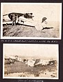 "85 C.T.S. (Black Cat) collides with 84 C.T.S." Photograph of crashed aircraft, one numbered C751. (3598829348).jpg