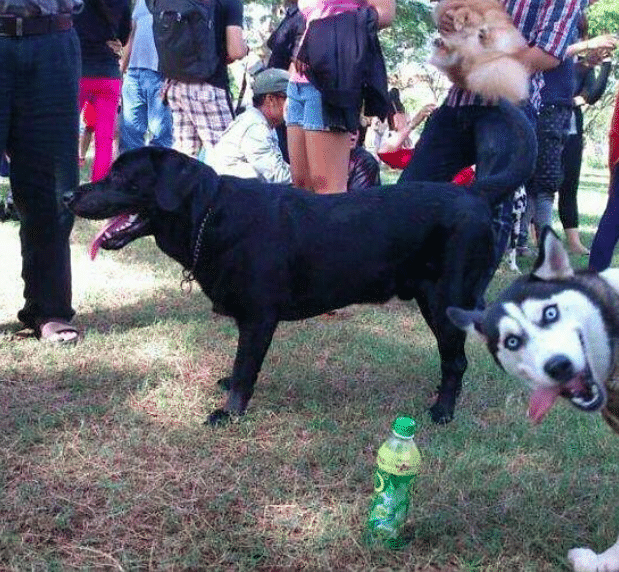 Photobomb 9