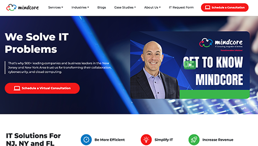 IBJI Website Design