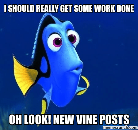 where's dory